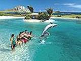  Swim with dolphins in Hawaii